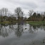 Nahe dem Biber an der Rodau: Der Wiesensee