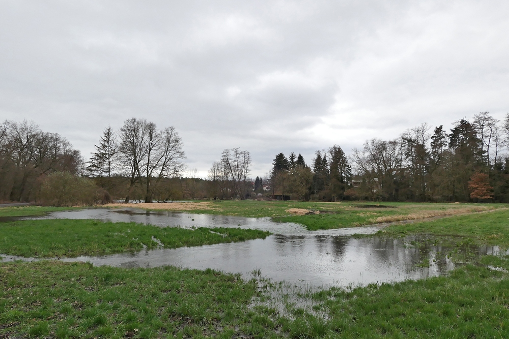 Nahe dem Biber an der Rodau: Die Wiese