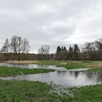 Nahe dem Biber an der Rodau: Die Wiese