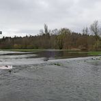 Nahe dem Biber an der Rodau: Gummistiefelpflichtig