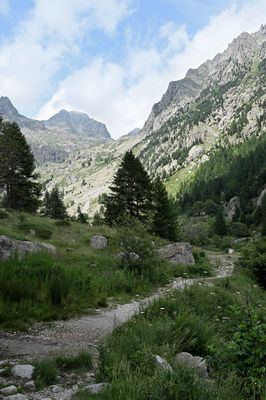 Nahe der BaumgrenzeDSC_8386