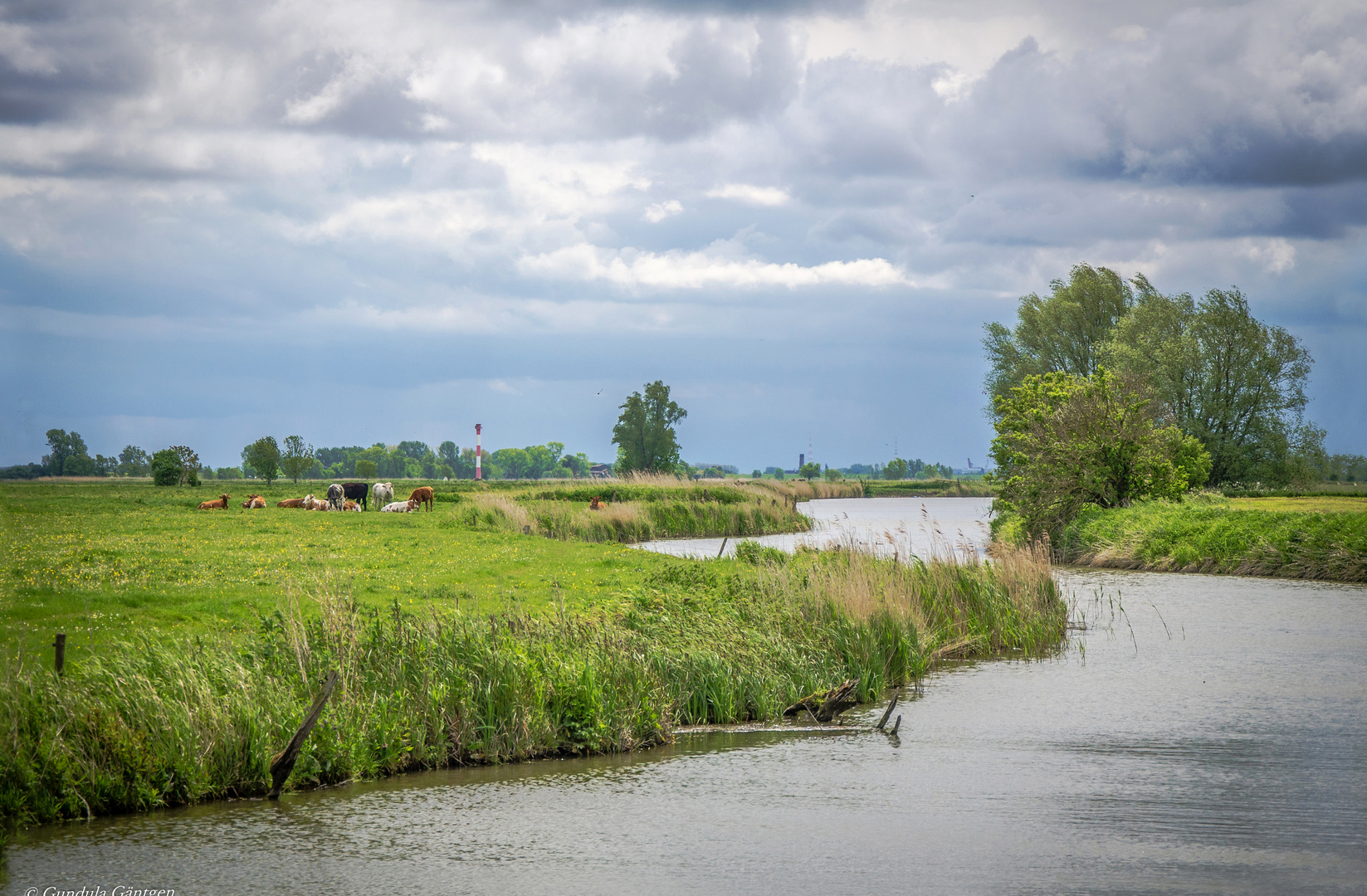 Nahe der Elbe