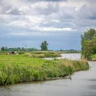 Nahe der Elbe