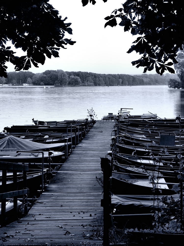 Nahe des Unterbacher See's