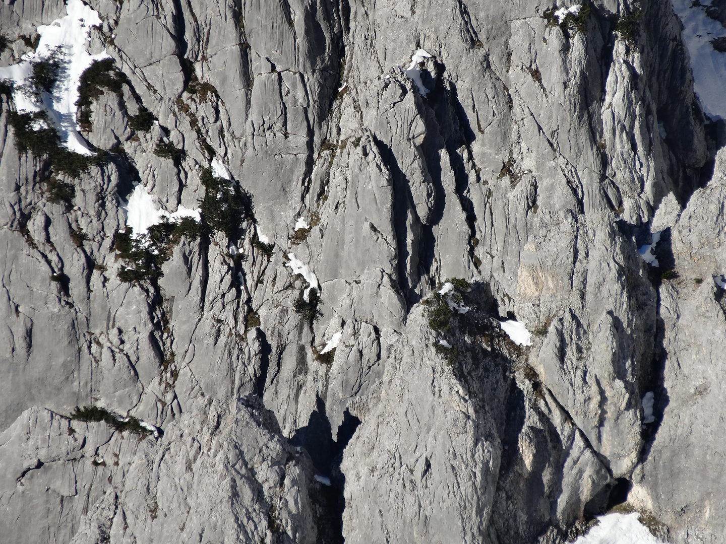 Nahe dran am Karwendel