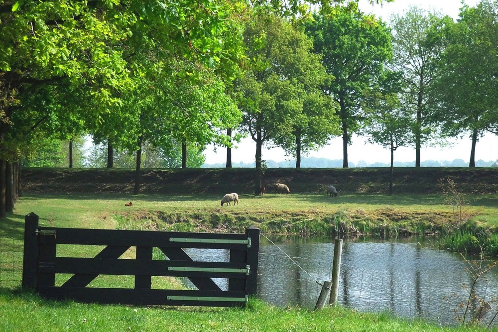 nahe festung Bourtange