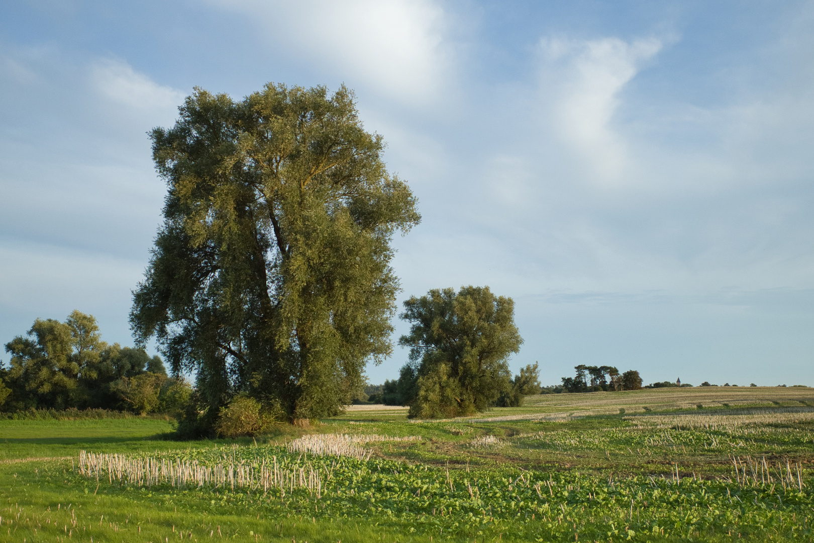 Nahe Goldberger See nach der Ernte