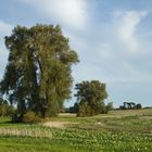 Nahe Goldberger See nach der Ernte