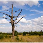 nahe National-Park Unstrut-Hainich III