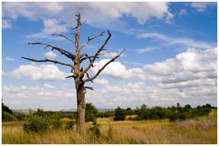 nahe National-Park Unstrut-Hainich III