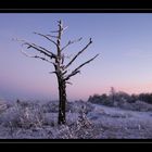 nahe National-Park Unstrut-Hainich IV