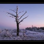 nahe National-Park Unstrut-Hainich IV