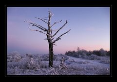 nahe National-Park Unstrut-Hainich IV