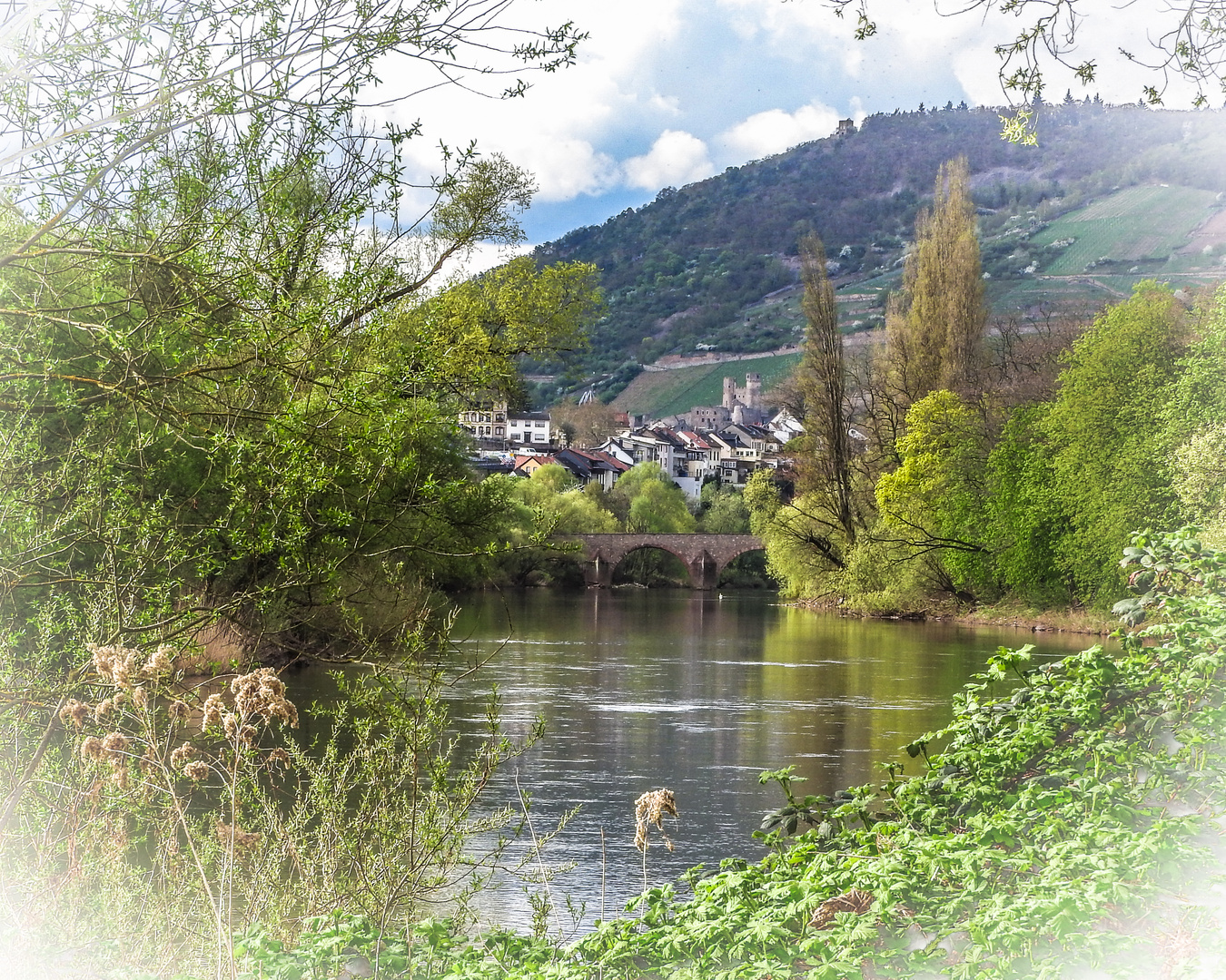 Nahe-Radweg bei Bingen