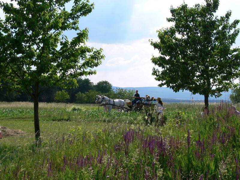 Nahe Sigless im Burgenland