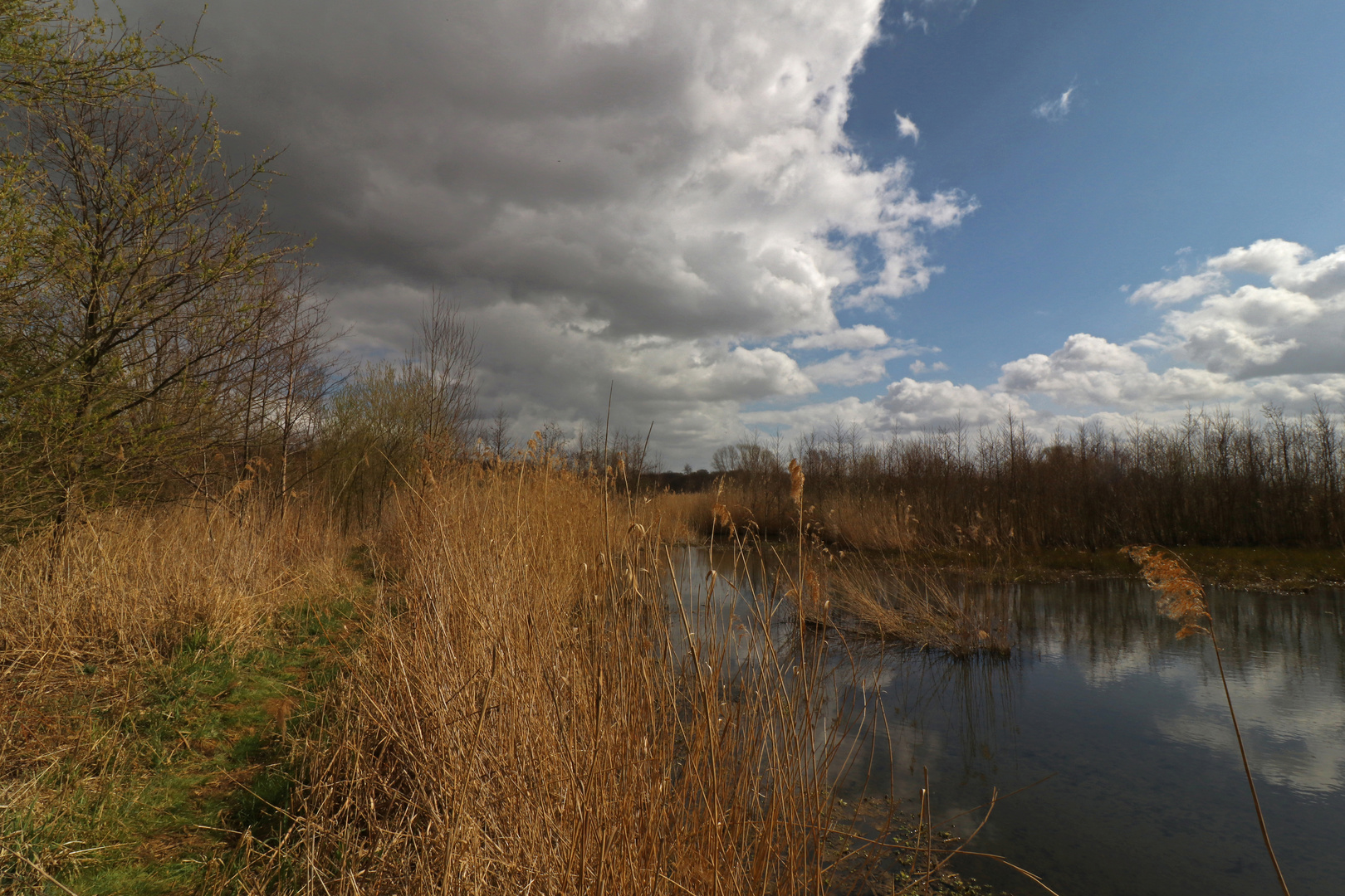 Nahende Wetterwand