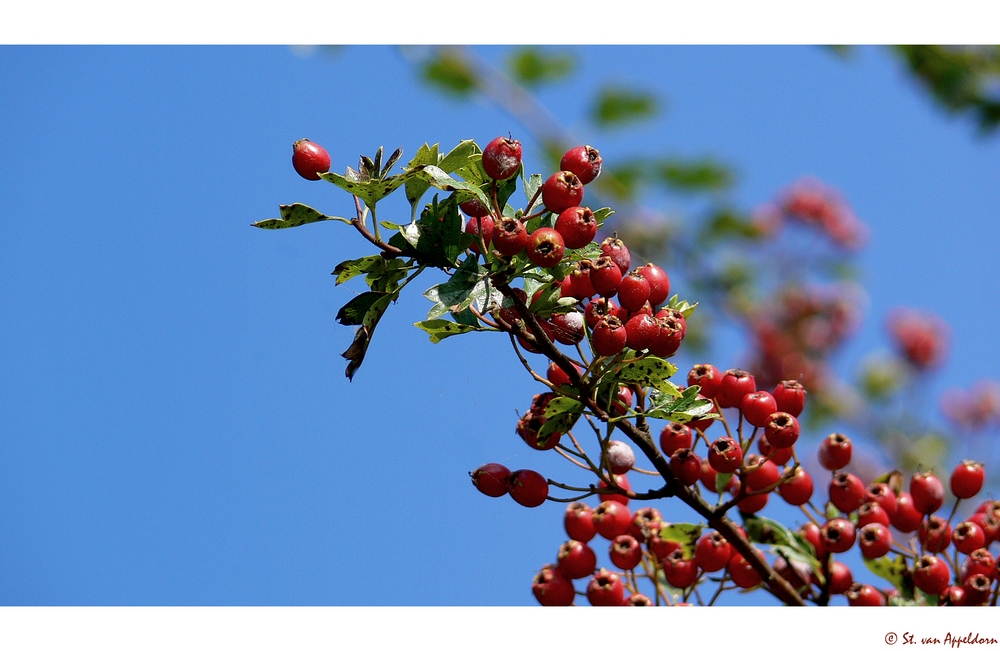 nahender Herbst...