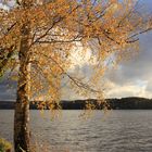 nahender Herbststurm am Baldeneysee