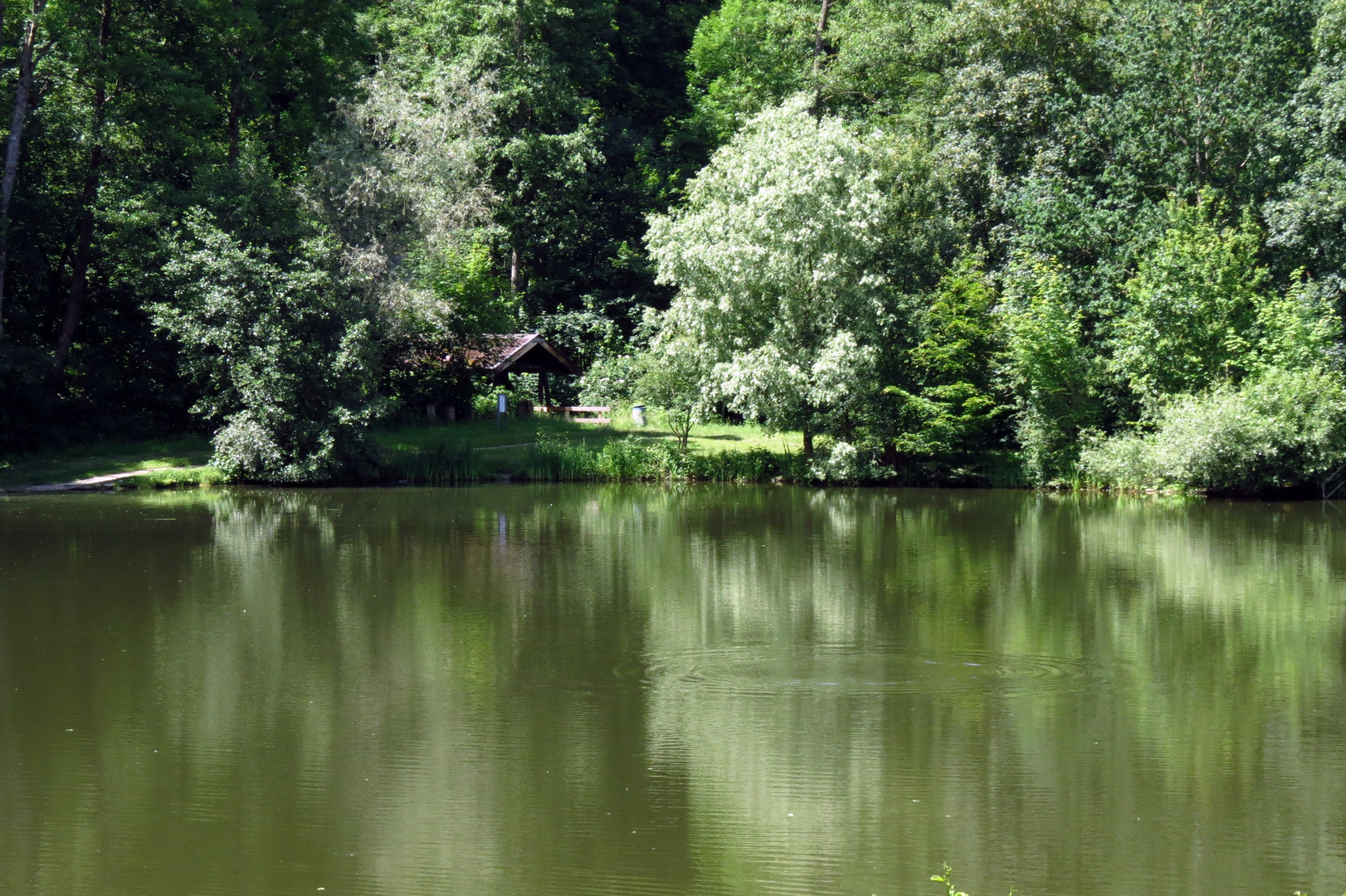 Naherholungsgebiet Bürgersee