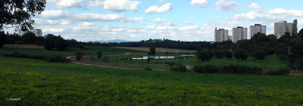 Naherholungsgebiet in der Berliner Siedlung