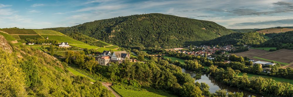 Nahetal-Panorama bei Oberhausen (13)