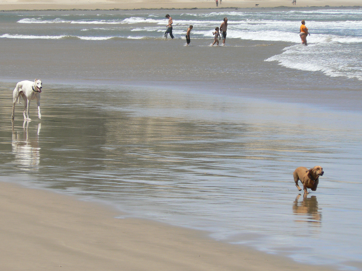 Nahoon Beach East London