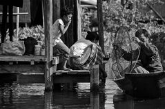 nahrung, inle see, burma 2011