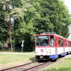 Nahverkehr (02): 26.05.2014