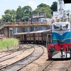 Nahverkehr in SriLanka