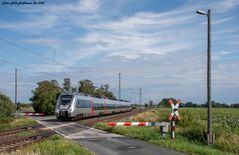 Nahverkehr muß auch sein