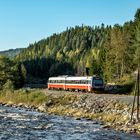 Nahverkehrstriebwagen bei Langlete, Rorosbanen, Norwegen