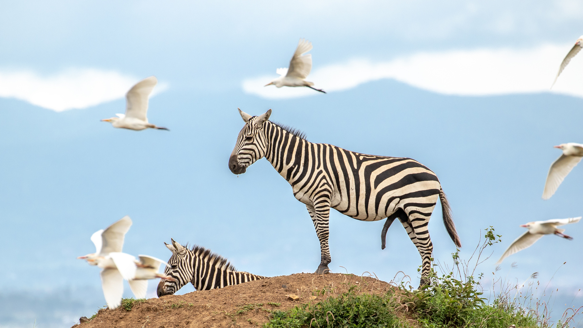 Nairobi Nationalpark