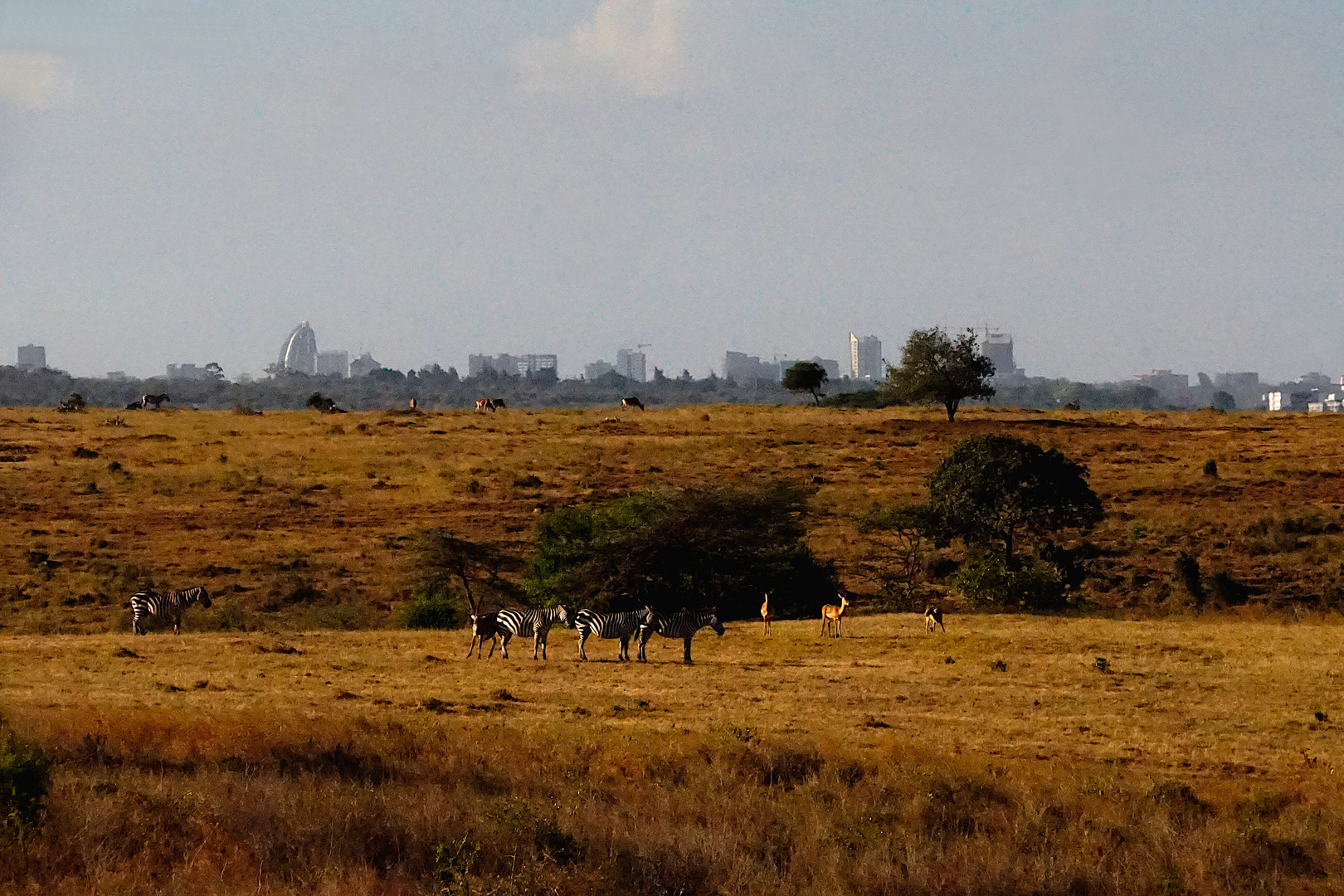 Nairobi Skyline