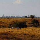 Nairobi Skyline