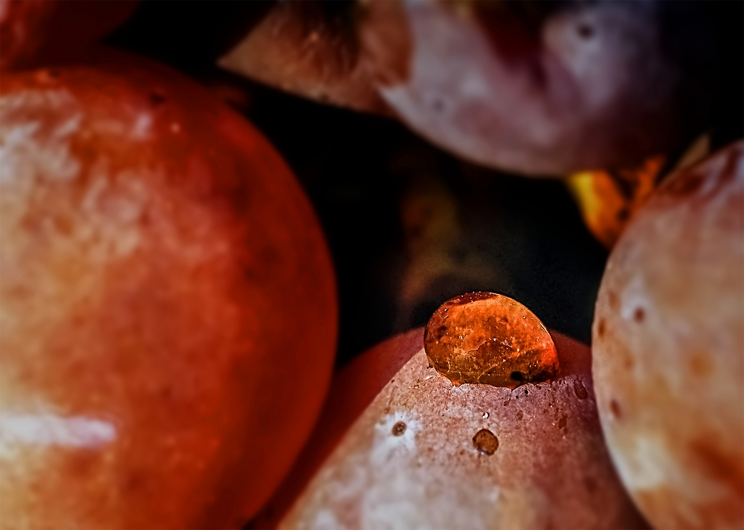 Naissance d'un grand vin