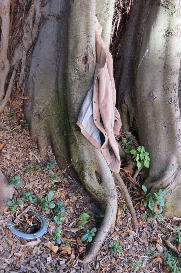 naissance d'une veste