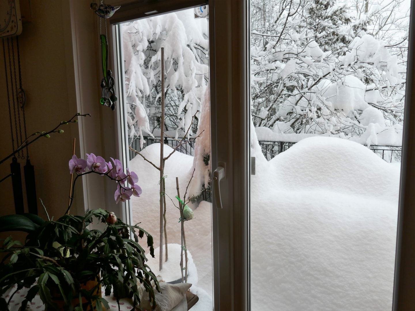 naja, der schnee hat schon auch was verzauberndes ...... 