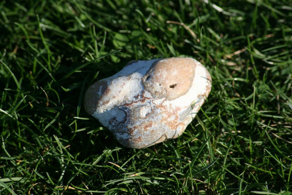 Naja, ein Stein auf einer Wiese