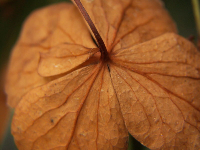 Najaaa im Herbst!