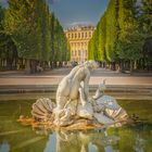 Najaden Brunnen im Schloss  Schönbrunn