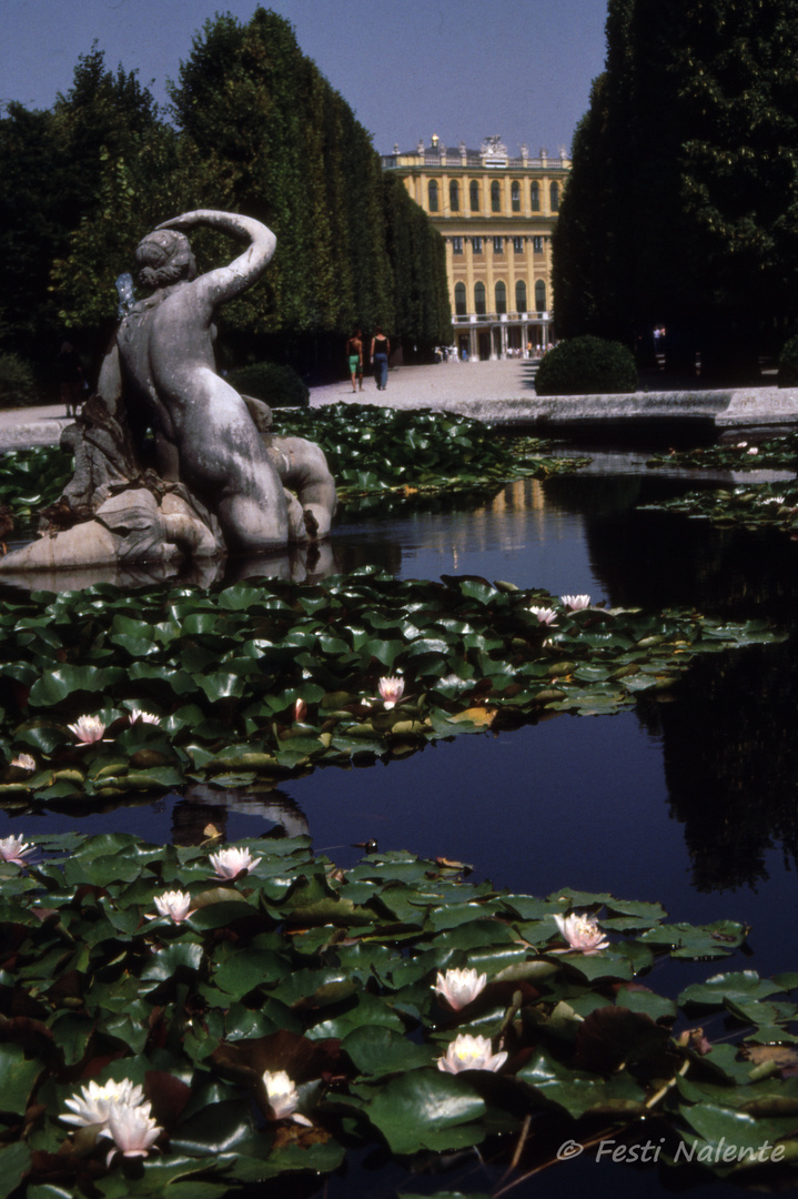 Najadenbrunnen mit Schloß Schönbrunn