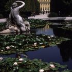 Najadenbrunnen mit Schloß Schönbrunn