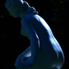 Naked in Blue Light.