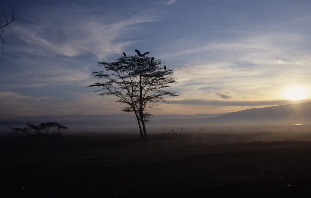 Nakuru Lake