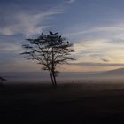 Nakuru Lake