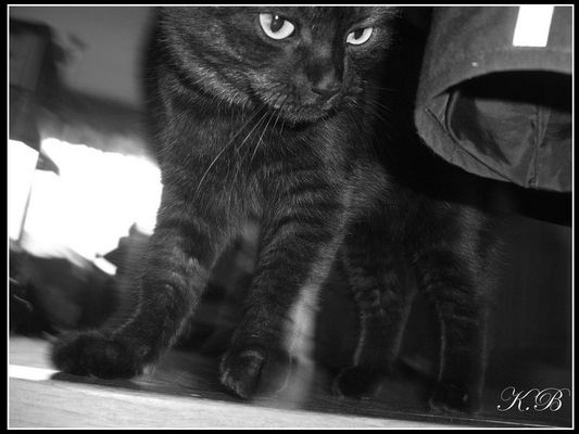 Nala 4 ever in my heart <3