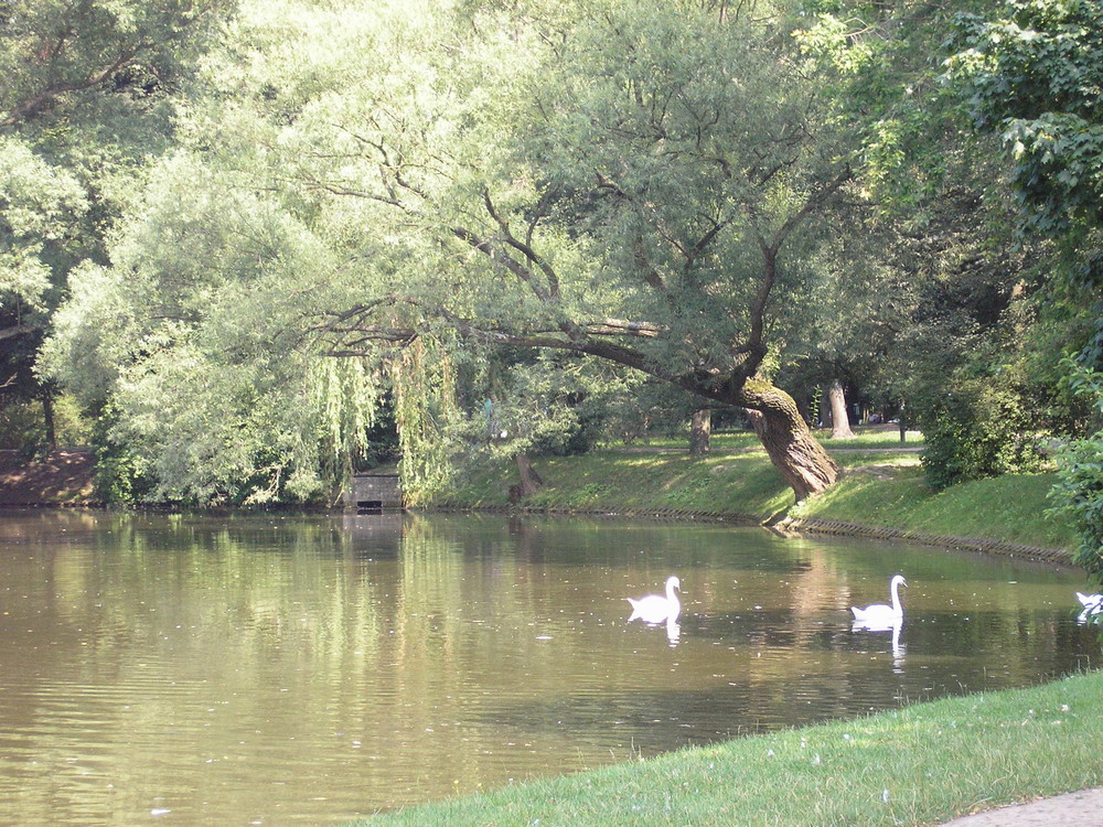 Naleczow Zdroj