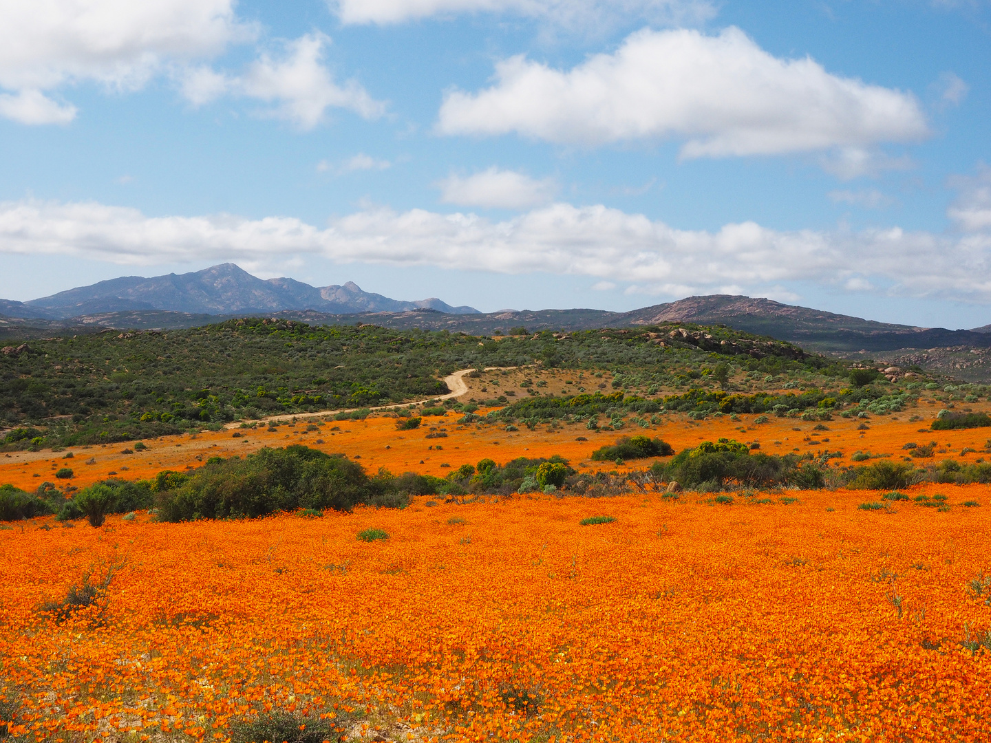 Namaqua National Park