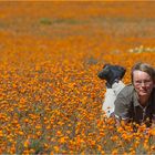 Namaqualand 08/2014...