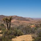 Namaqualand